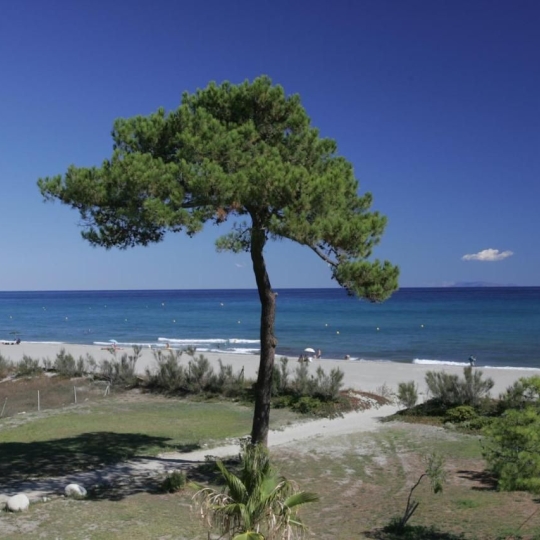  IMMOBILIERE DE FRANCE : Maison / Villa | BORGO (20290) | 5 000 m2 | 5 710 000 € 
