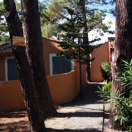  IMMOBILIERE DE FRANCE : Maison / Villa | BORGO (20290) | 5 000 m2 | 5 710 000 € 