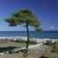  IMMOBILIERE DE FRANCE : Maison / Villa | BORGO (20290) | 5 000 m2 | 5 710 000 € 