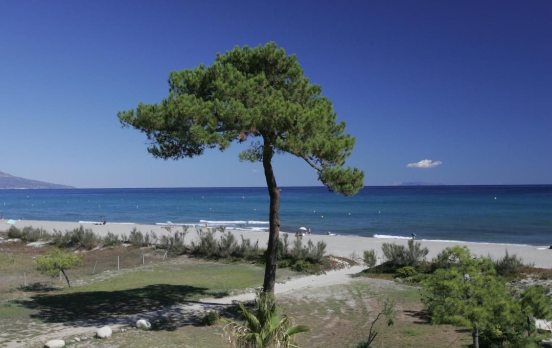 IMMOBILIERE DE FRANCE : Maison / Villa | BORGO (20290) | 5 000 m2 | 5 710 000 € 