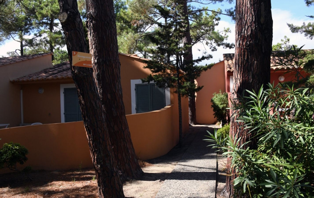 IMMOBILIERE DE FRANCE : Maison / Villa | BORGO (20290) | 5 000 m2 | 5 710 000 € 
